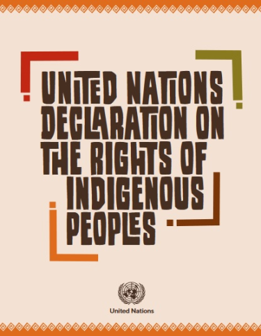 UNDRIP cover