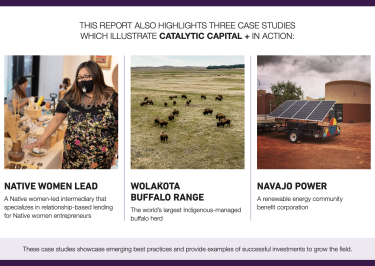 Catalytic Capital Case Studies Collage