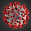 COVID-19 virus