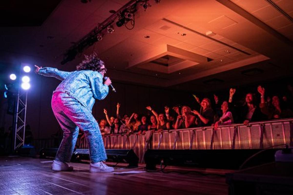artist performing to crowd