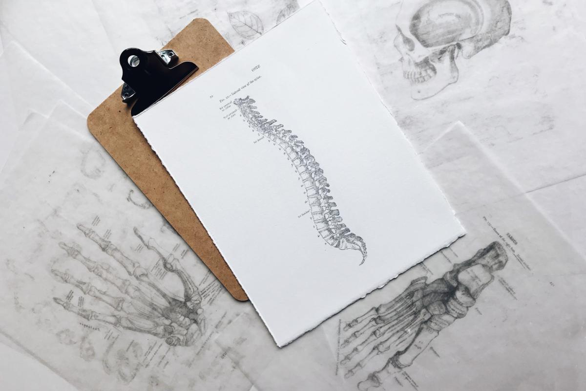 A drawing of a spine is shown on a clipboard.