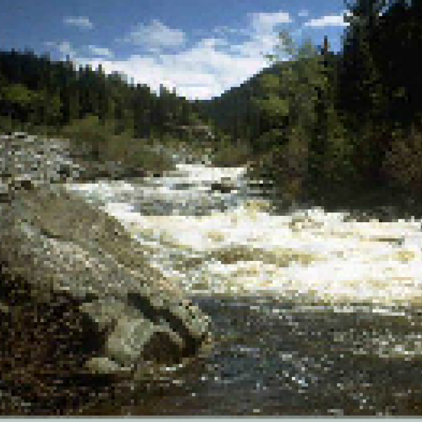 Cache le Poudre