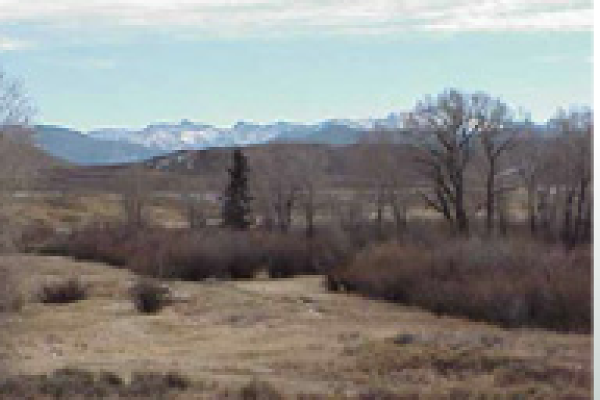 Willow Creek