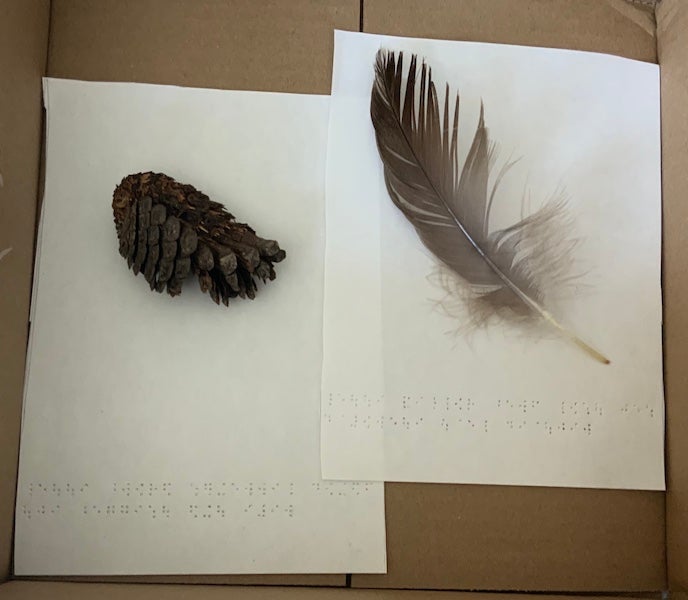 Pinecone and feather with braille text