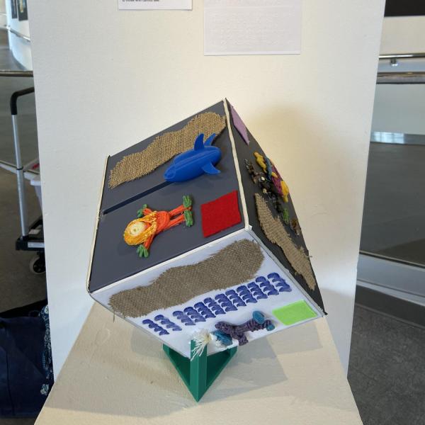 Story cube based on STEM princesses book, designed by students at Golden High School.