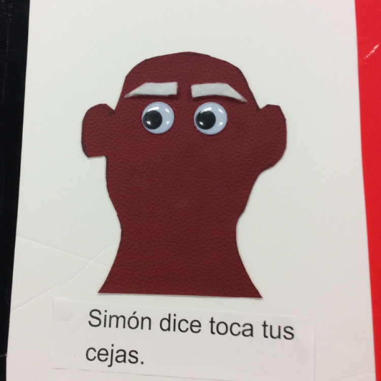 Tactile graphic of head with googly eyes and large eyebrows