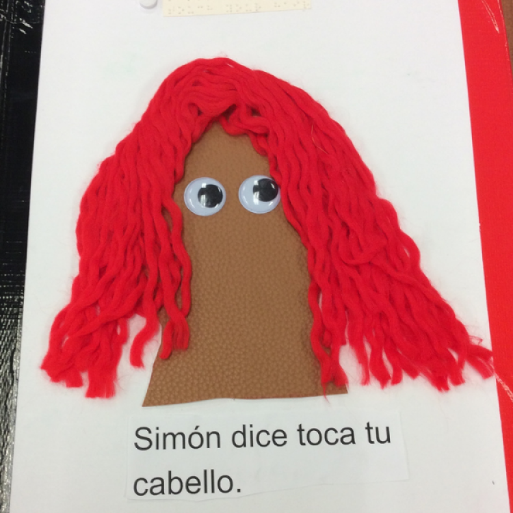 Tactile graphic of head with googly eyes and long hair made with yarn.