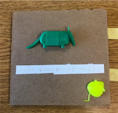 Sample page showing 3D printed armadillo and braille text.