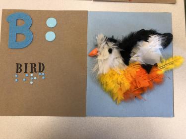 Book page for letter B with a bird made from feathers with a hard plastic beak.