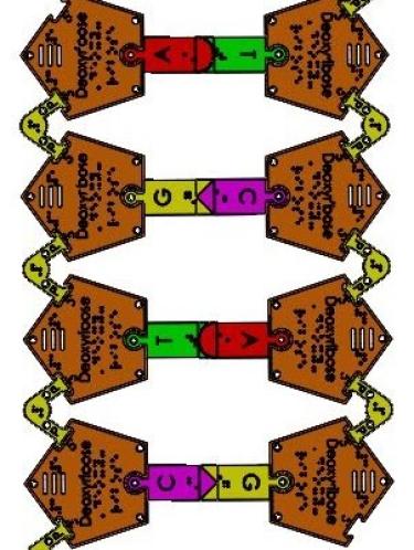 Illustration of puzzle pieces assembled to form DNA molecule
