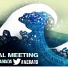 Wave logo for the AERA conference