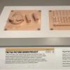Display of 3D printed textures on panels