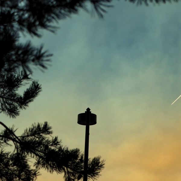Blue and yellow sky with tree and street lamp