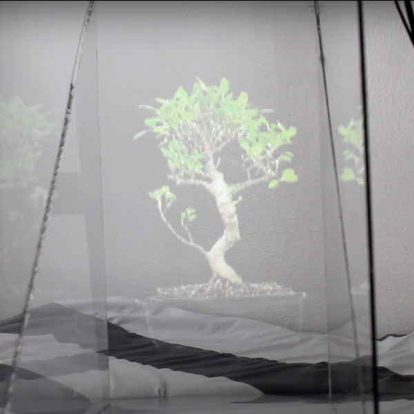 Hologram of a tree