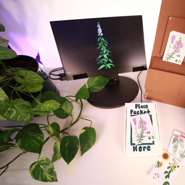 Art installation with computer monitor and plants on a table