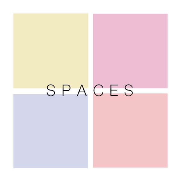 Poster for photography booked titled Spaces