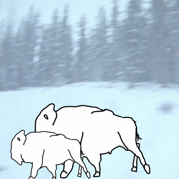 Animated buffalo in front of a winter landscape