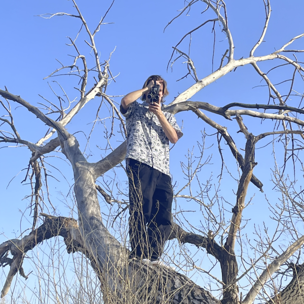 photographer in a tree