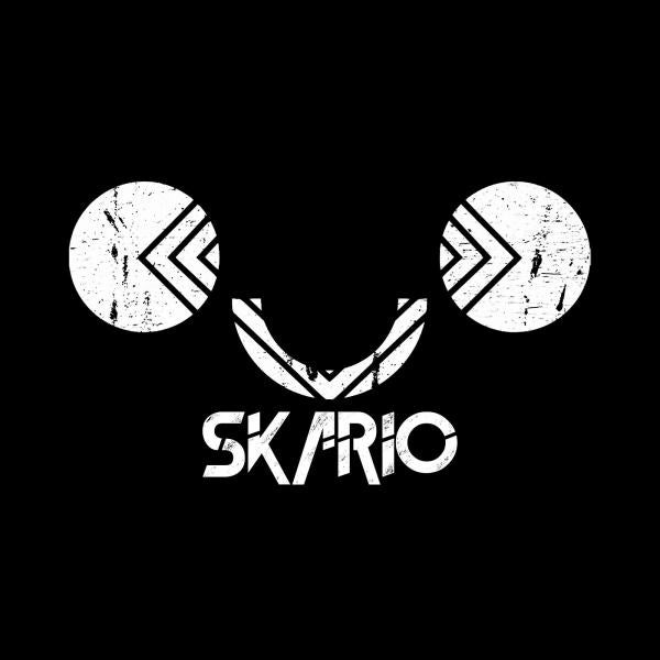 avatar image with text "Skari0"