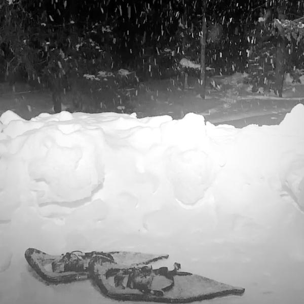 Snow falling onto snow shoes