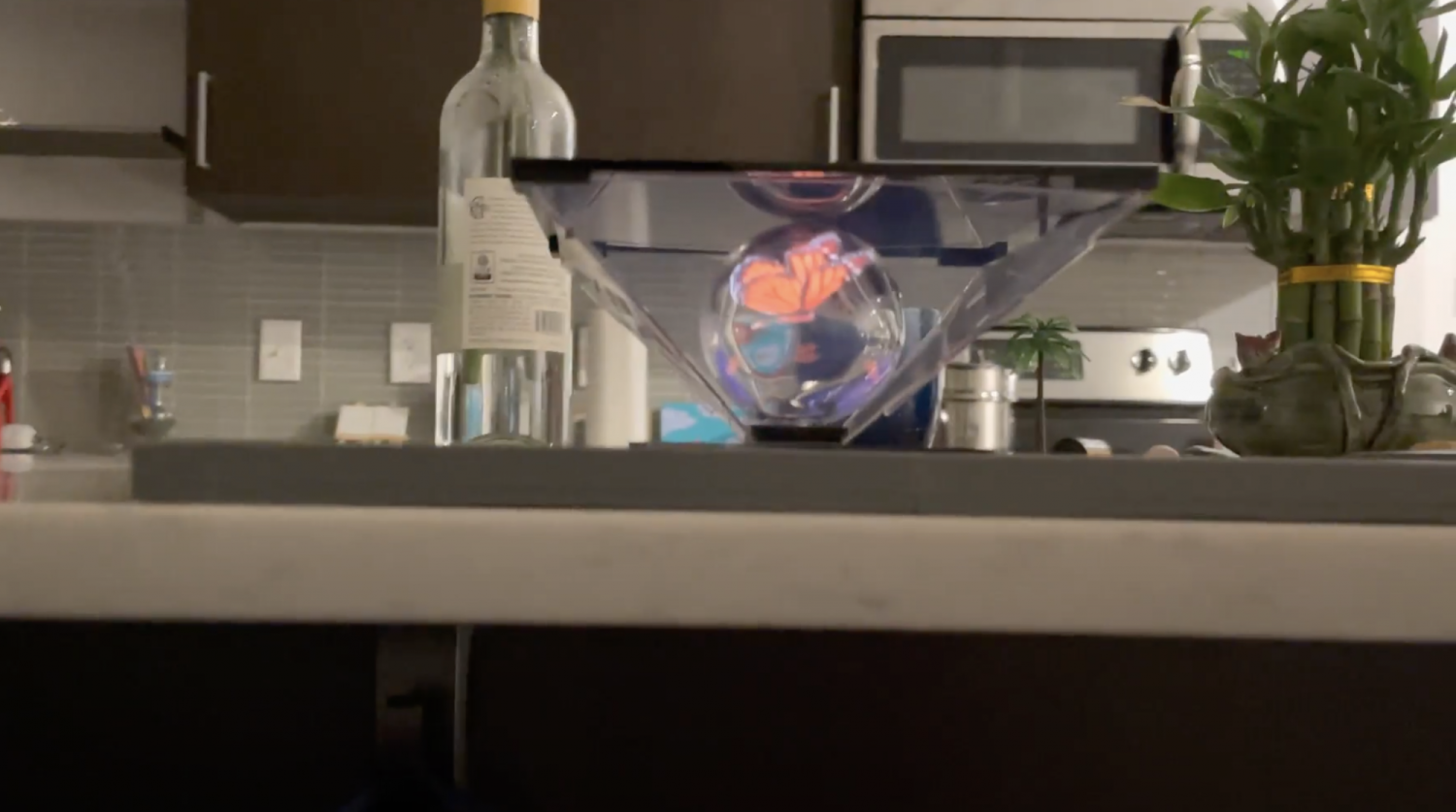 Animated hologram inside of glass sphere