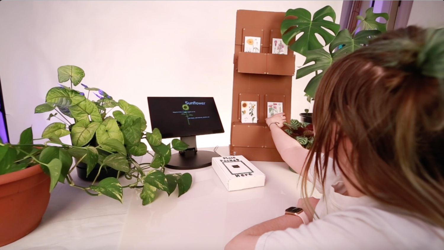 Person using the installation with computer monitor and plants on a table