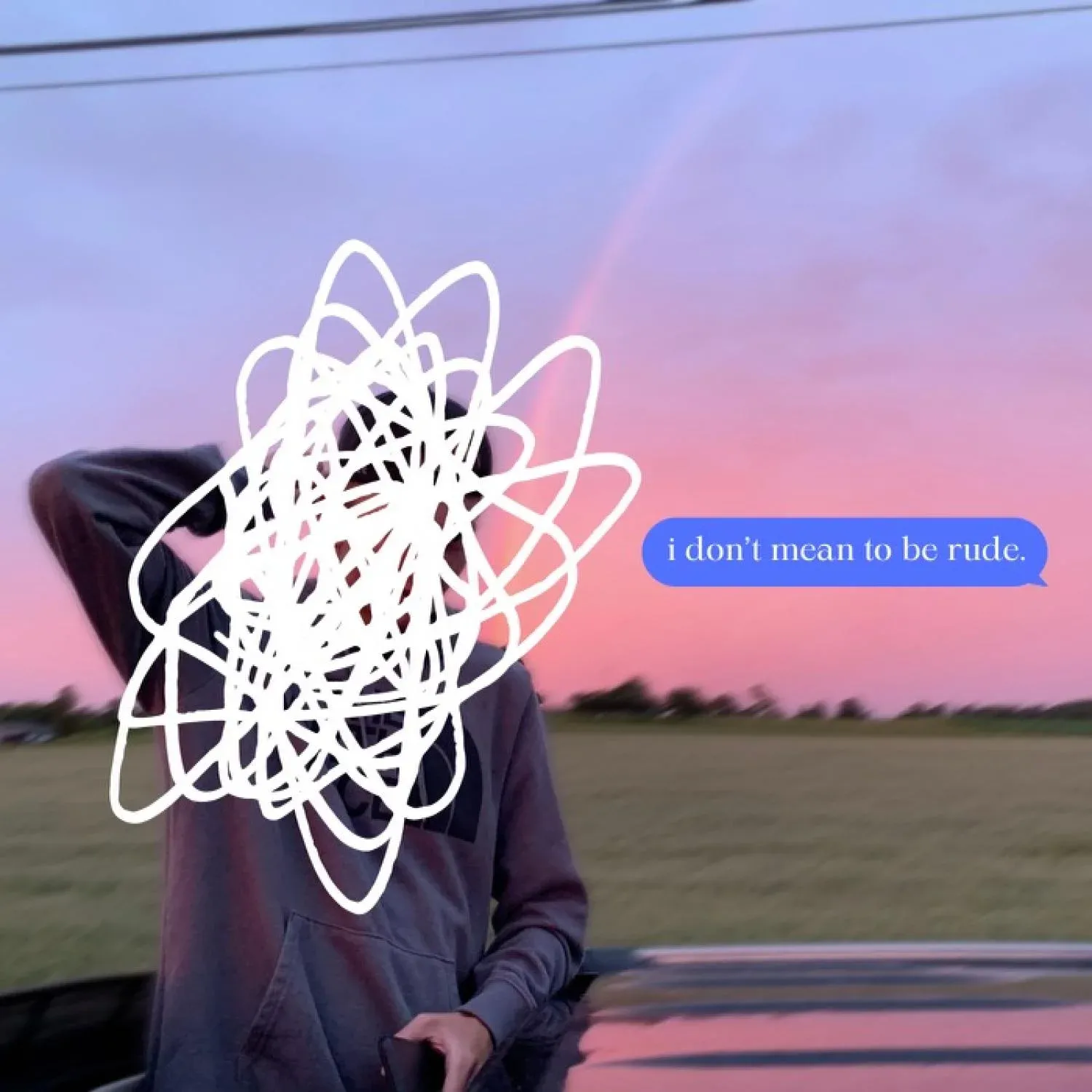 I don't mean to be rude