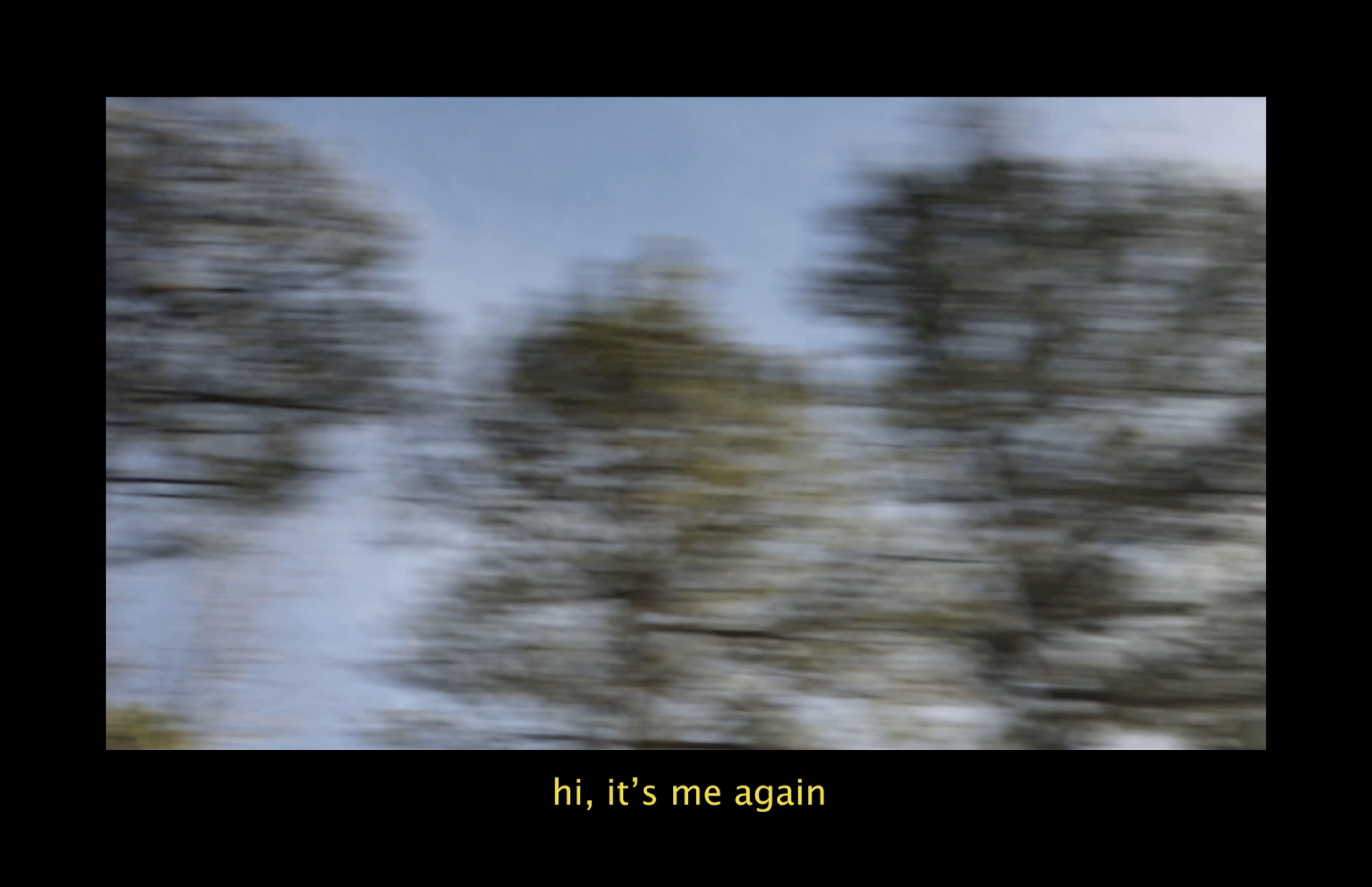 Intro to the film, video of Georgia road-side trees.