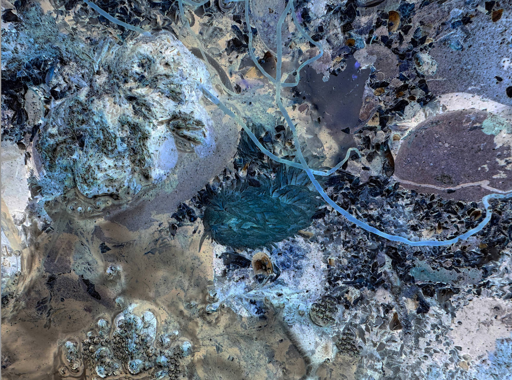 A glowy underwater ecosystem with blue and purple tones