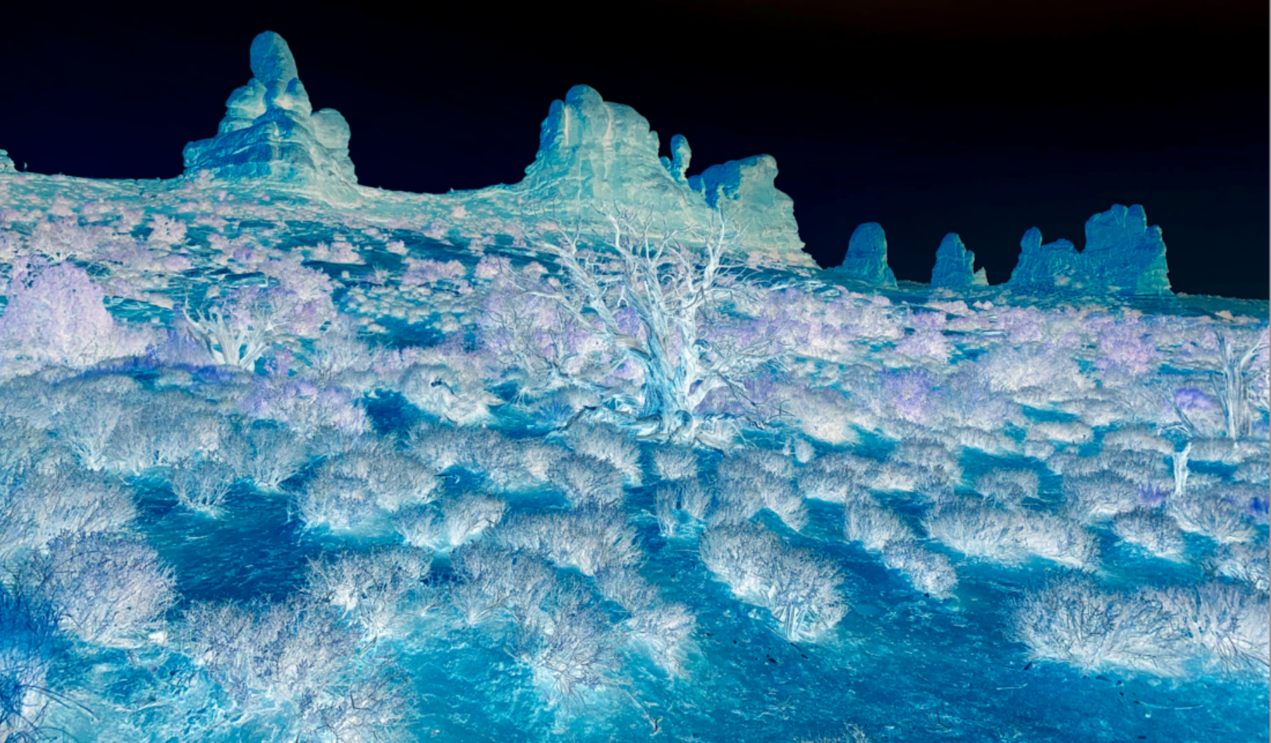 Moab's landscape with canyons and flora that appear extraterrestrial