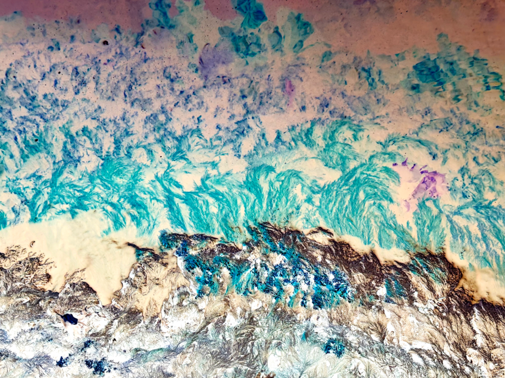  Multicolored seaweed flowing beneath the water as seen from above.