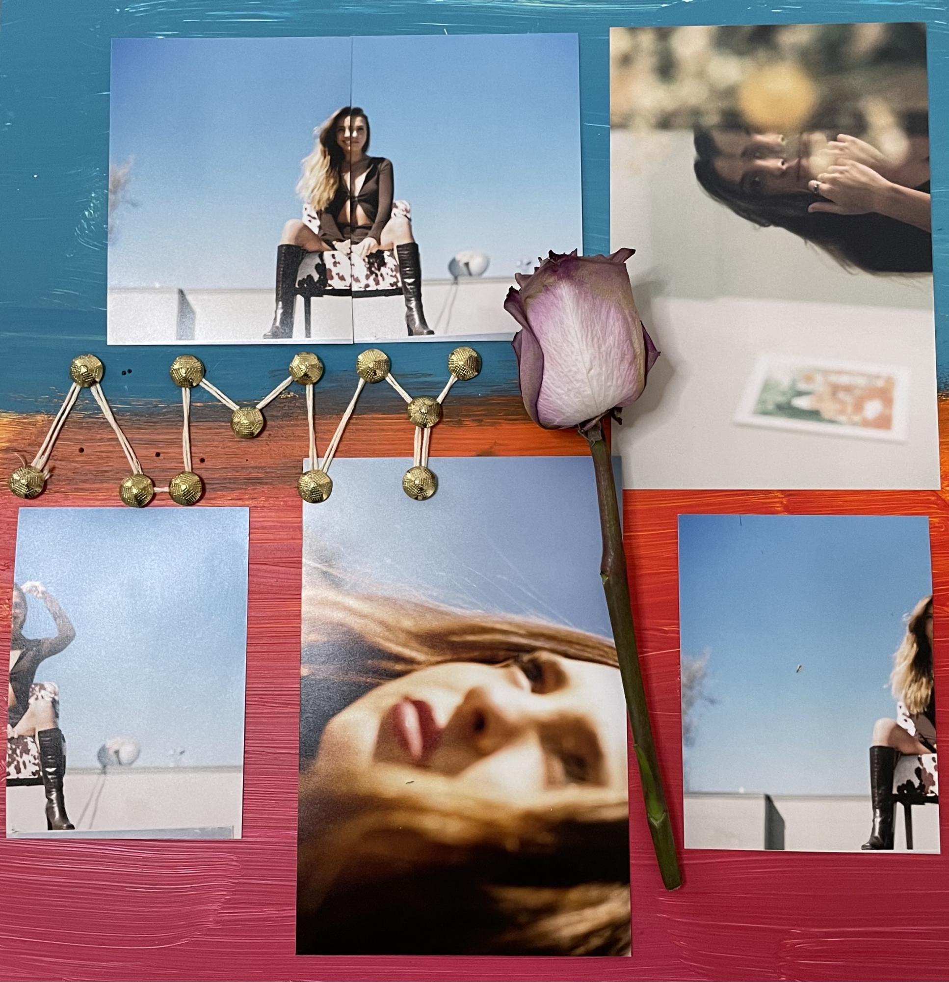 Collage of photographs of women, the name Amy placed with sticks and a rose laying on top