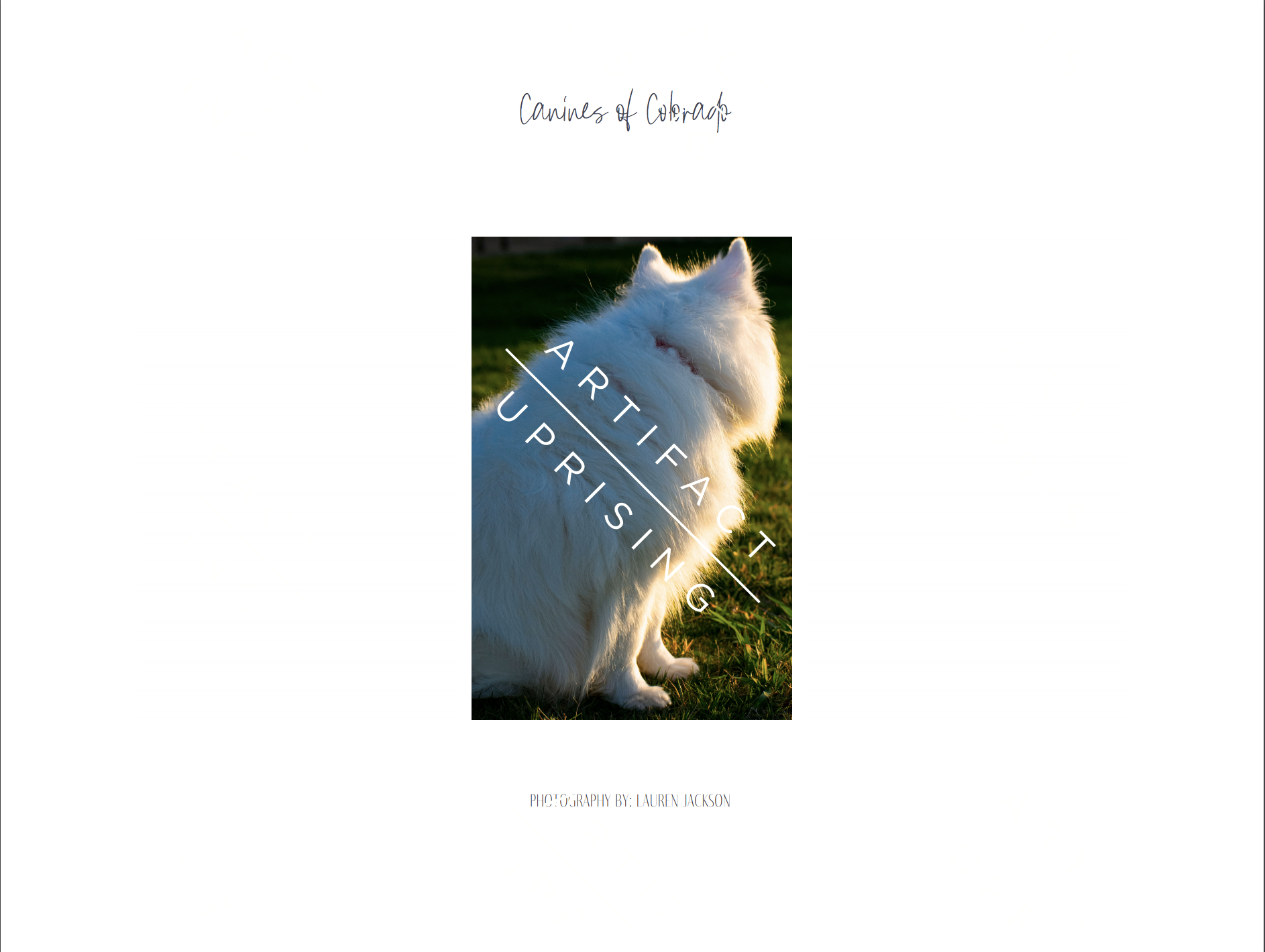 rear page of photo book