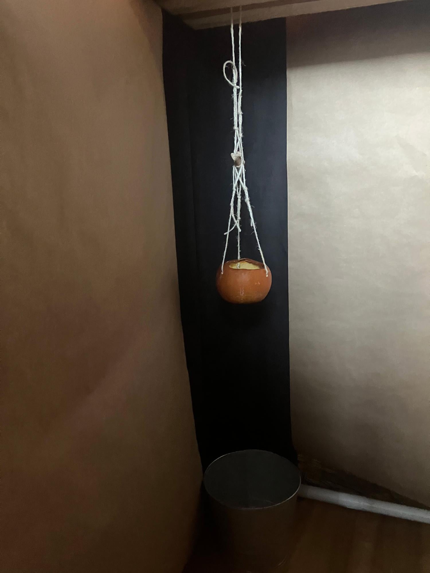 a bowl hanging from the ceiling by a string