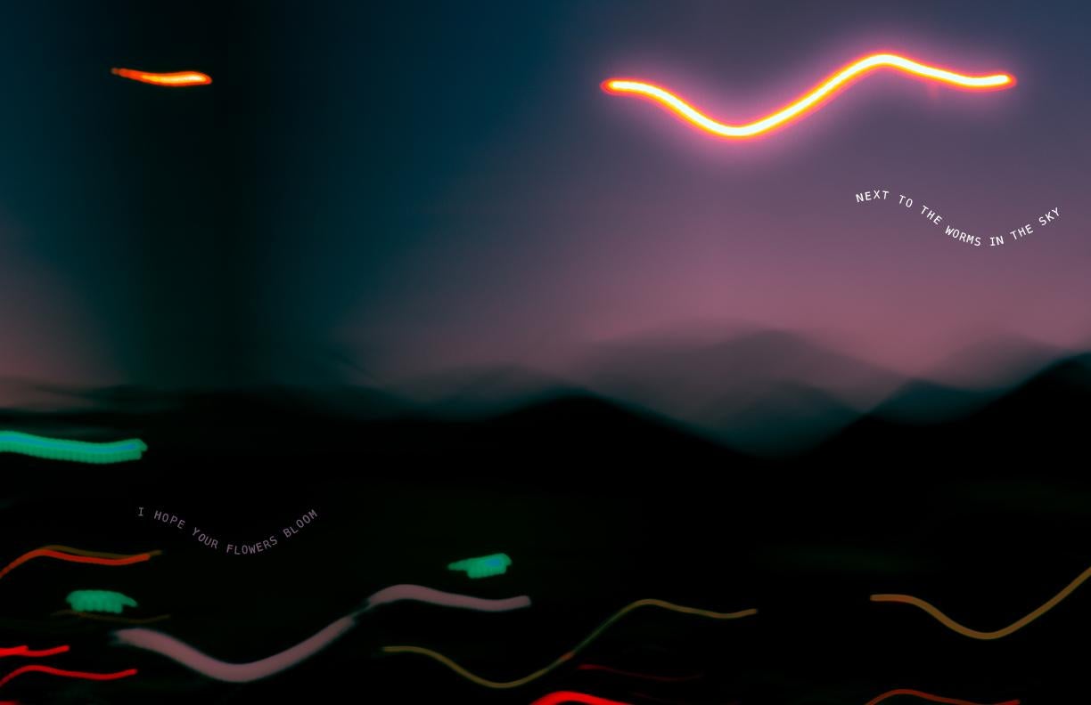Worm-like streaks of neon light float against a silhouette of the Rocky Mountains ranging in bright shades of marmalade, cantaloupe, fern, and heather. Mirroring the wormy forms, two lines of text accompany the streaks that read: “I hope your flowers bloom” and “Next to the worms in the sky”.
