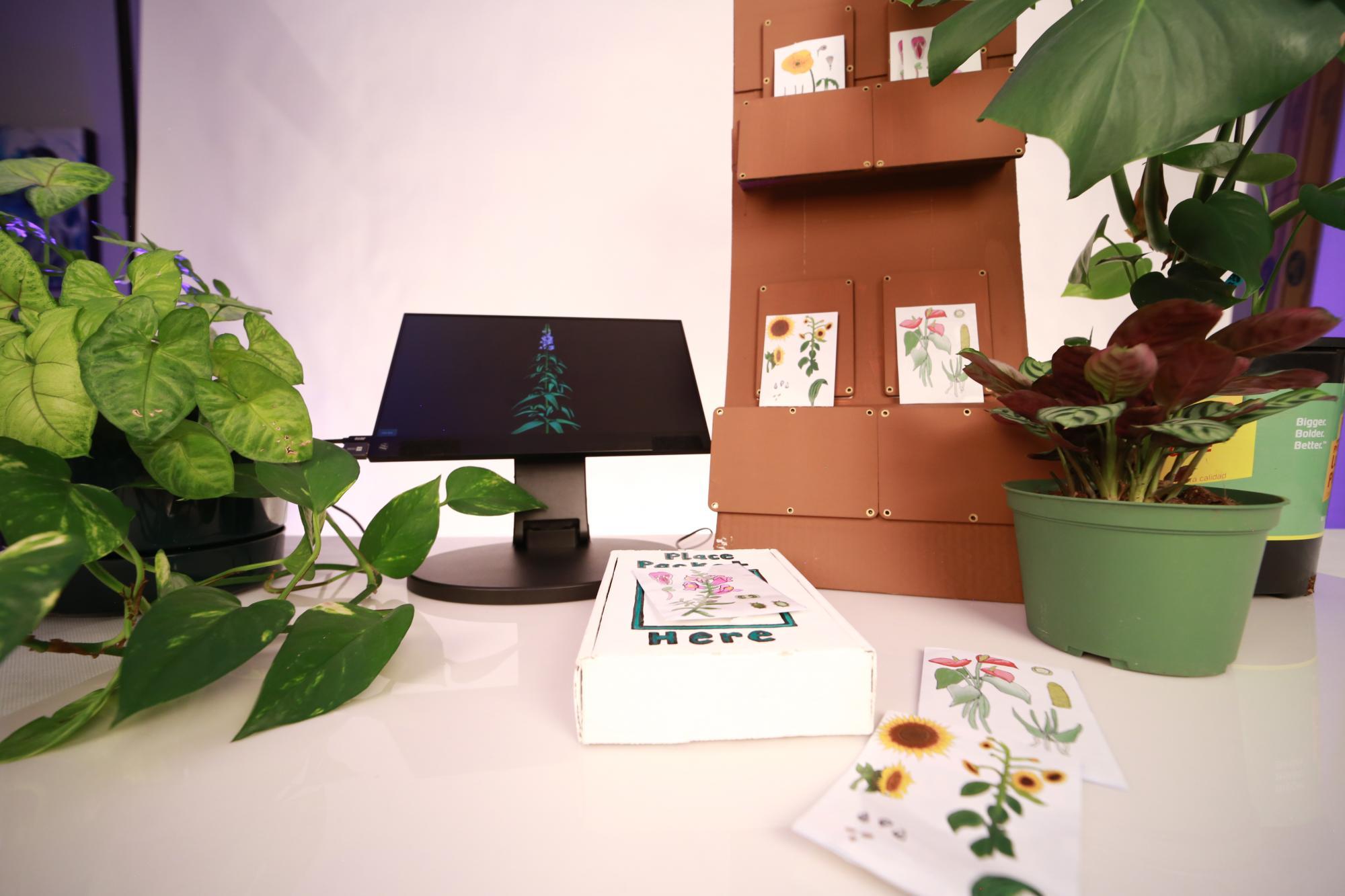 Art installation with computer monitor and plants on a table