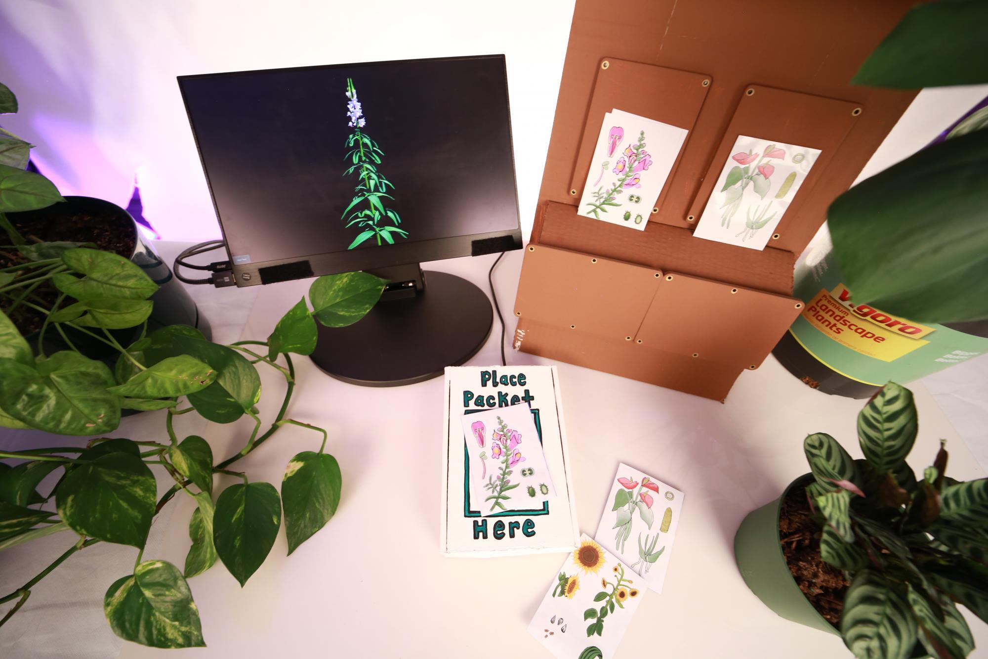 Art installation with computer monitor and plants on a table