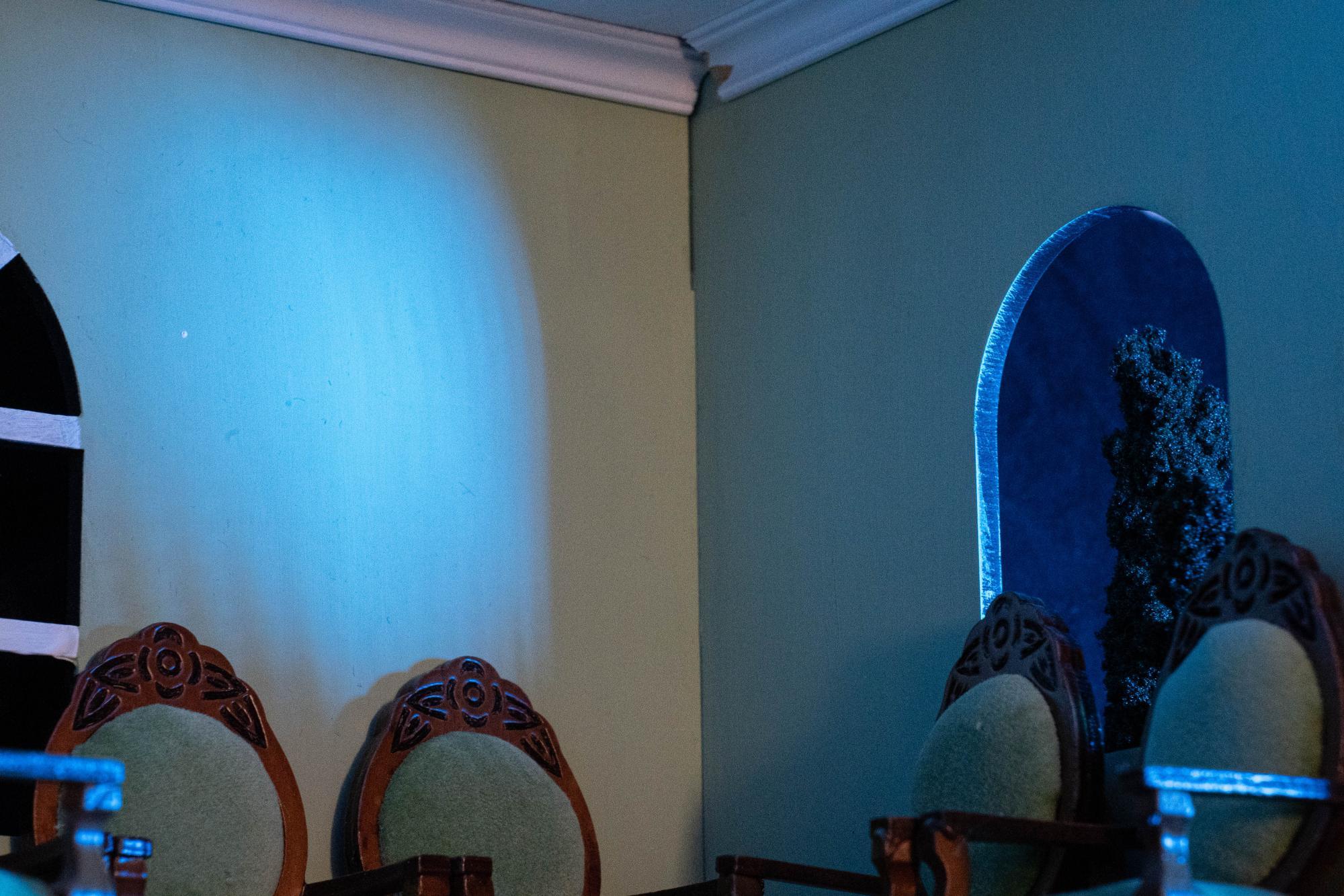 Close up shot of the corner of an office waiting room, with the light from outside the room illuminating a tree in the window