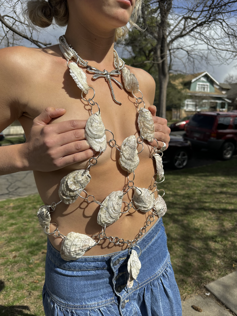 FRONT OF THE ARMOR HALTER, HARDWARE & ALL