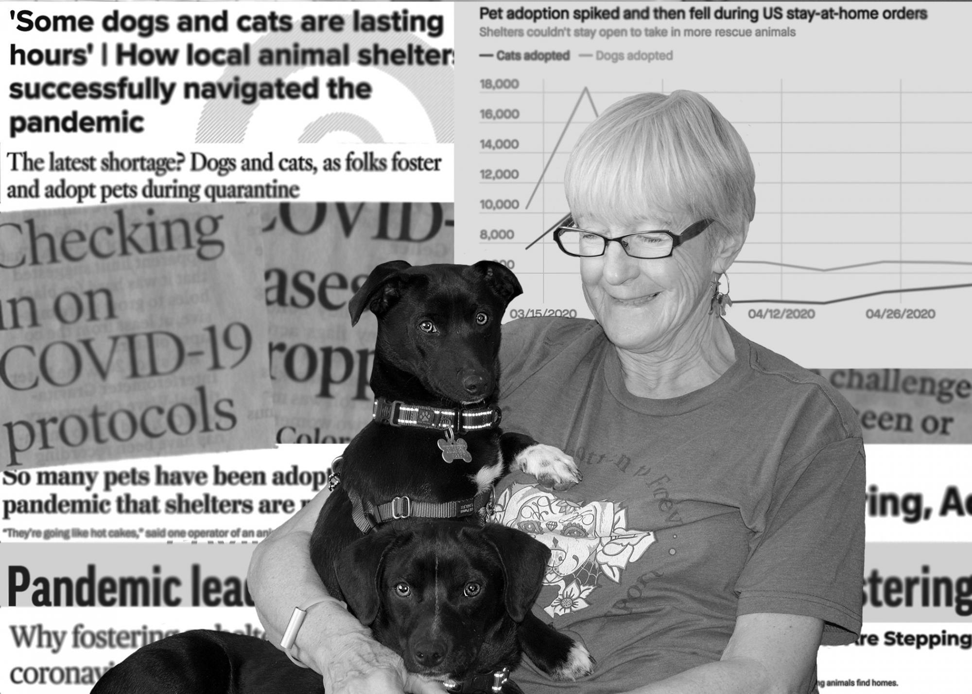 Person holding a dog in front of a collage of newspaper cut-outs