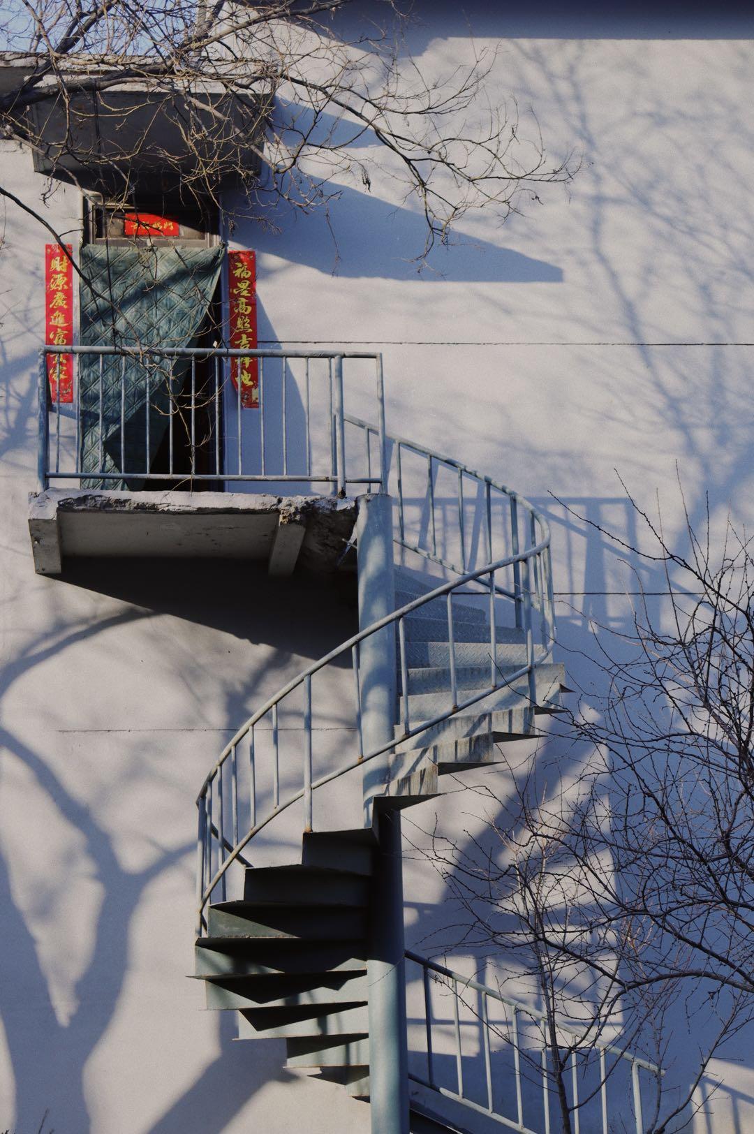Stairwell with shadows of trees