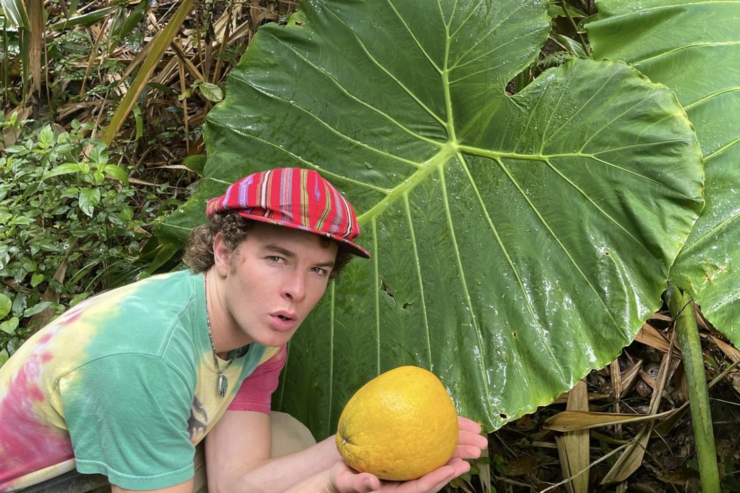 Im holding a grapefruit next to a very big leaf in Haiphong, Vietnam