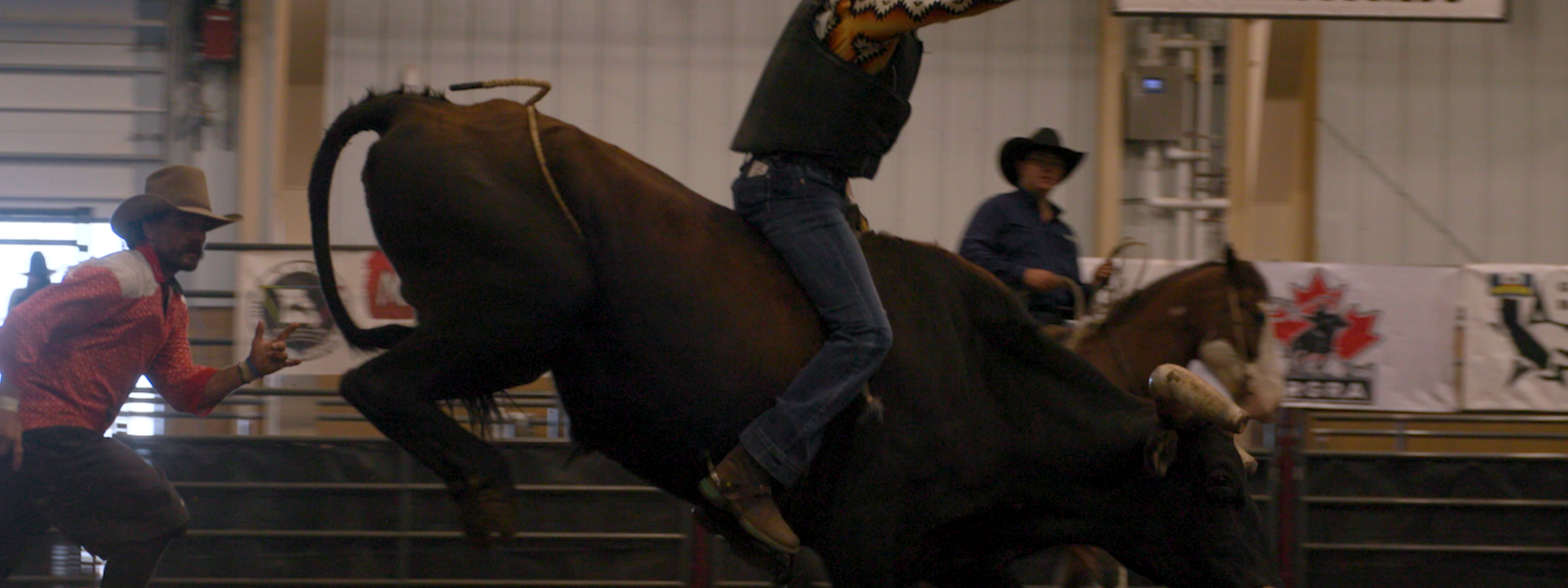 Women's roughstock events in motion
