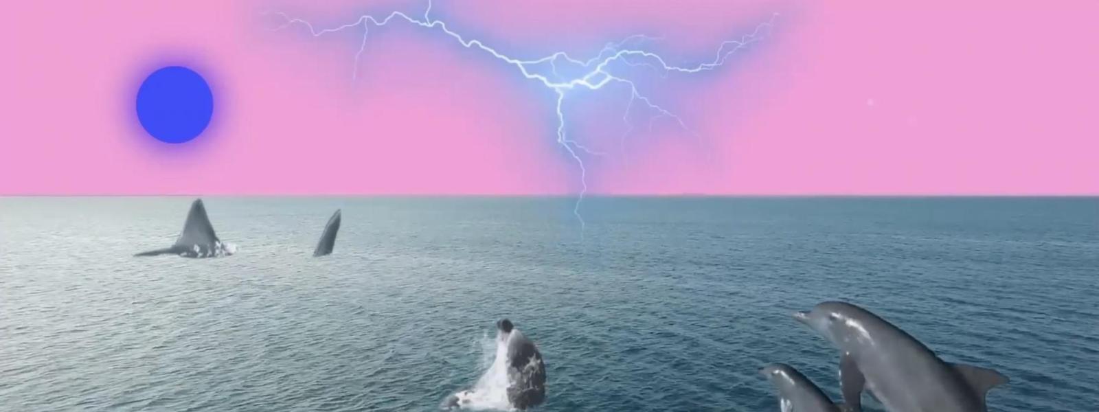 Digital art collage of dolphins in the sea with pink sky