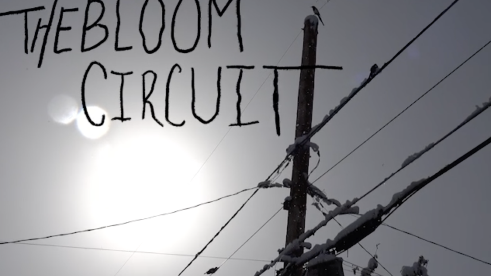Title page with birds in background on power line