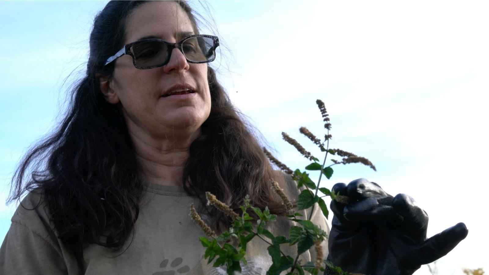 Andrea Rose holding a plant