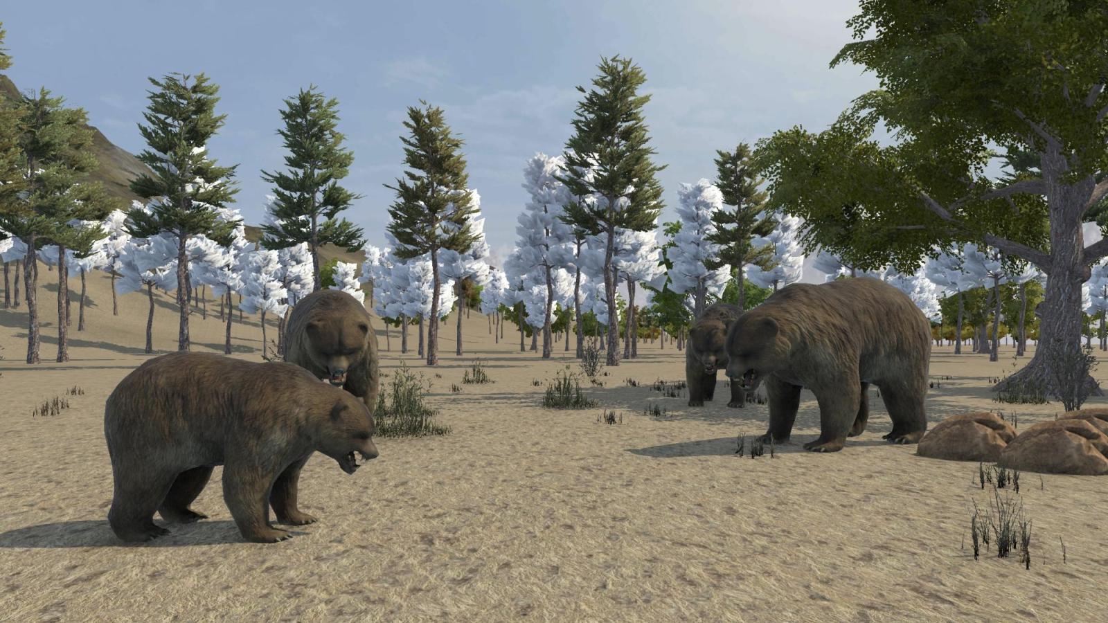bears