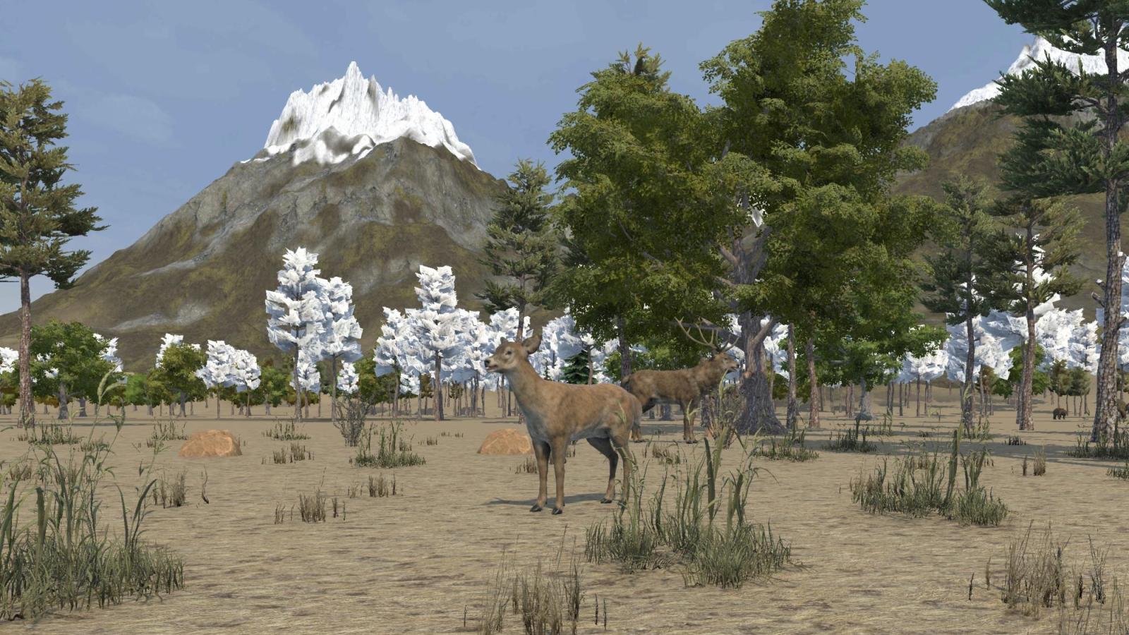 deer on a ranch outdoors