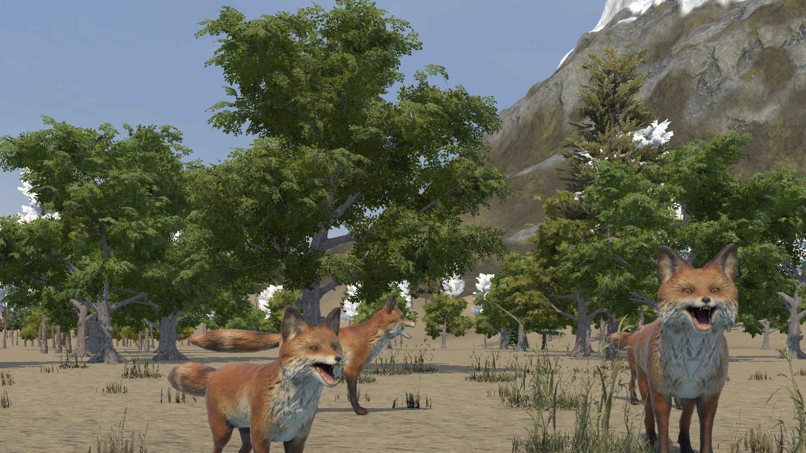 foxes
