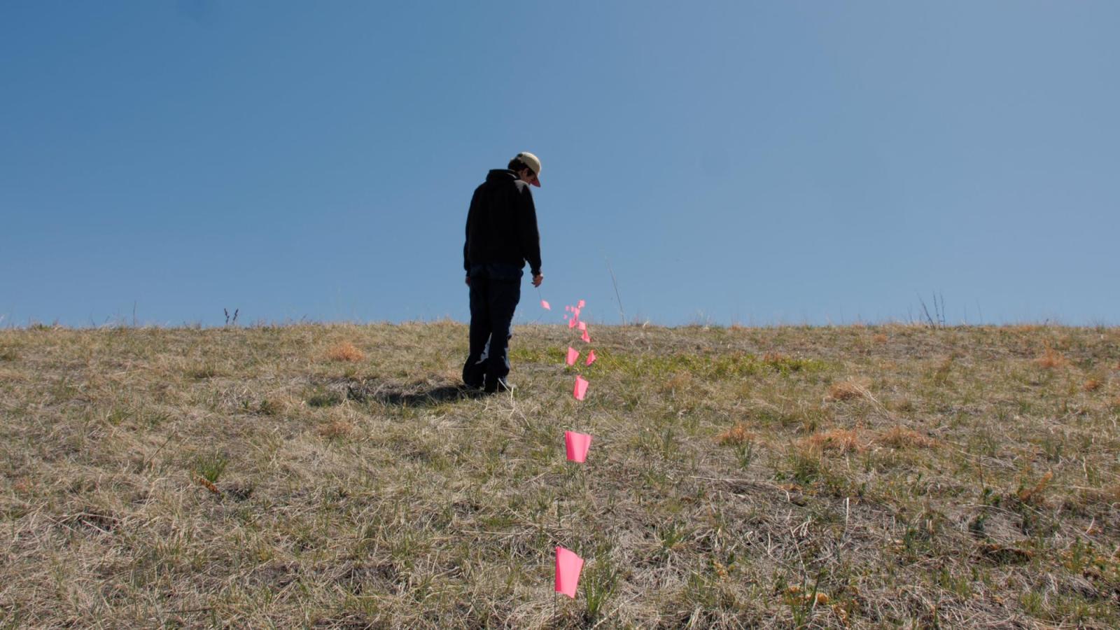 Frame grab from Chapter Four “Flag” the lower half of the frame is rough green grass, in the middle is a line of light pink marking flags running down the frame. The upper half of the frame is a pale blue sky with no clouds. Slightly to the left of center is the back of man walking along the line of frames. he is dressed in a black hoodie with baggy navy pants. *could I use this photo for the bio section